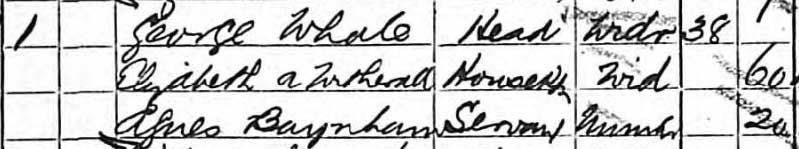 Census - 1881 - Agnes Baynham